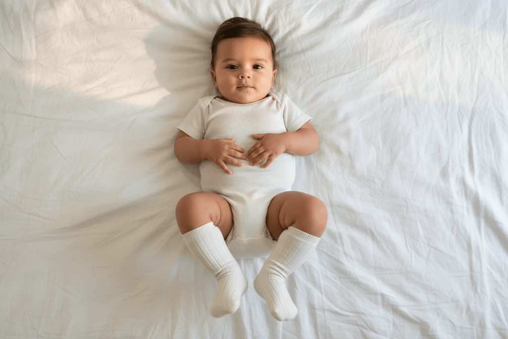 Essentīals Plain Cotton Ribbed Socks